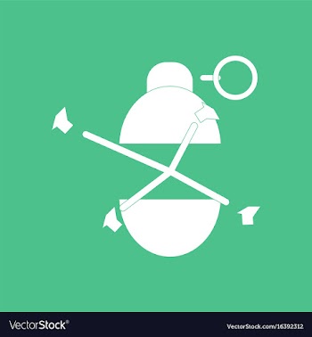 Icon military grenade blast vector image