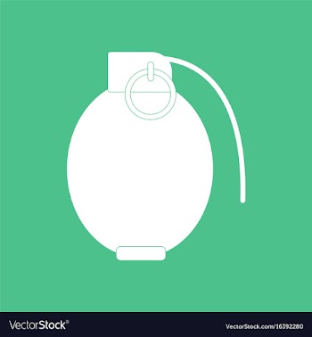 Icon military hand grenade vector image