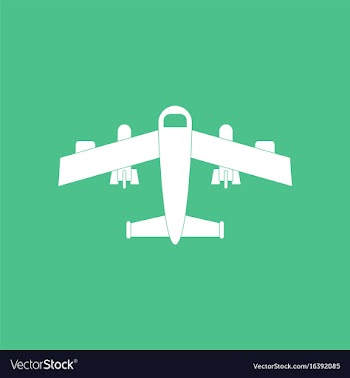 Icon military heavy bomber vector image