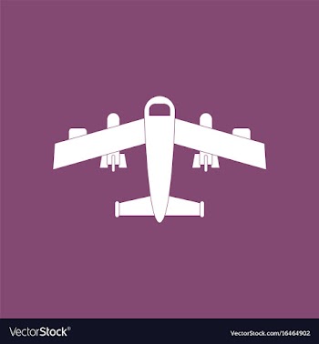Icon military heavy bomber vector image