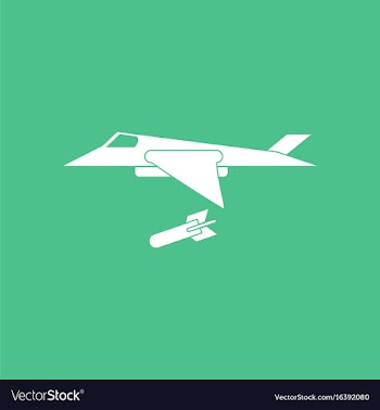 Icon military jet fighter vector image
