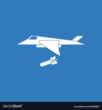 Icon military jet fighter vector image