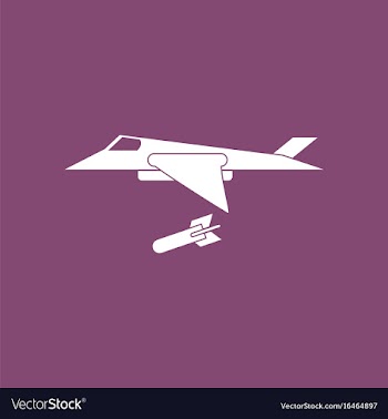 Icon military jet fighter vector image