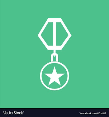 Icon military medal vector image