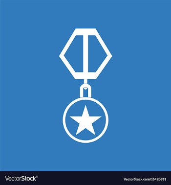 Icon military medal vector image