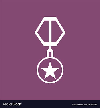 Icon military medal vector image