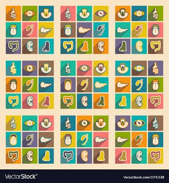 Icon of assembly internal organs in flat style vector image