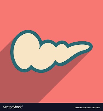 Icon of gall bladder in flat style vector image