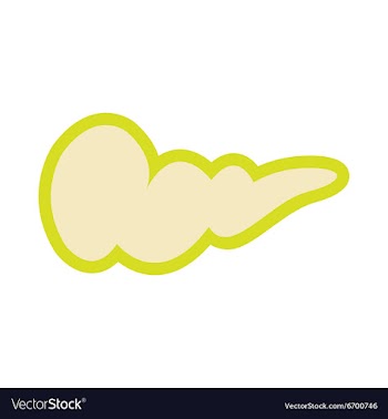 Icon of gall bladder in flat style vector image
