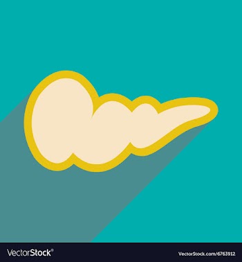Icon of gall bladder in flat style vector image