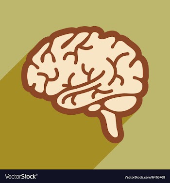 Icon of human brain in flat style vector image