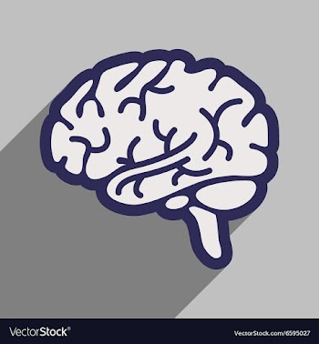 Icon of human brain in flat style vector image