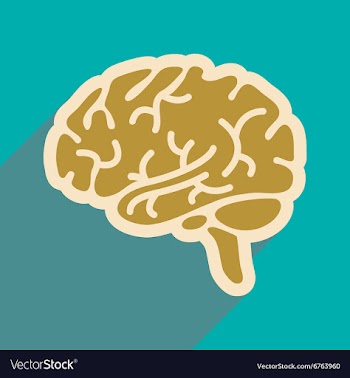 Icon of human brain in flat style vector image