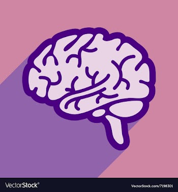 Icon of human brain in flat style vector image