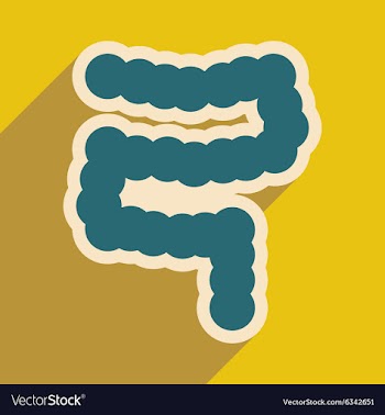 Icon of human duodenum in flat style vector image