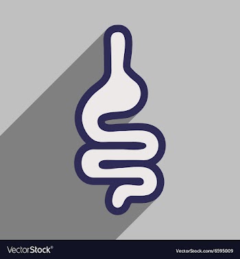 Icon of human intestines in flat style vector image