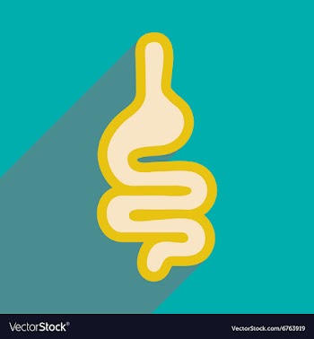 Icon of human intestines in flat style vector image