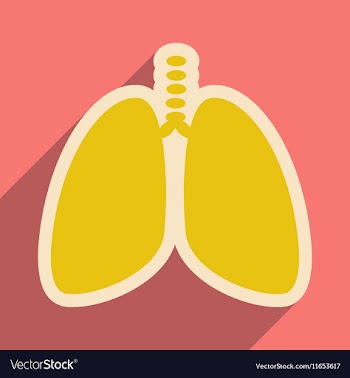 Icon of human lungs in flat style vector image