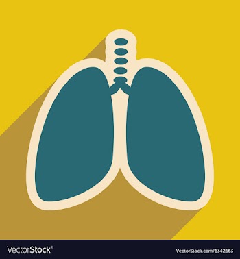 Icon of human lungs in flat style vector image