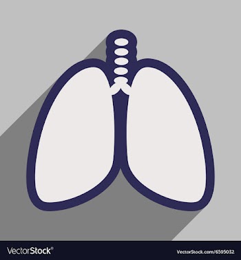 Icon of human lungs in flat style vector image
