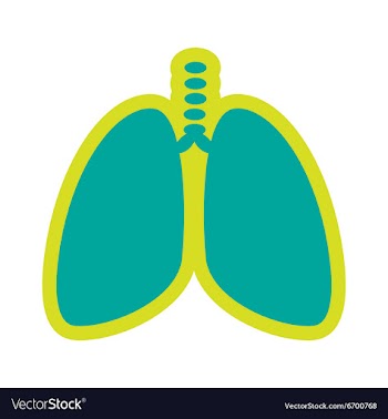 Icon of human lungs in flat style vector image