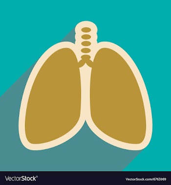 Icon of human lungs in flat style vector image