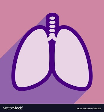 Icon of human lungs in flat style vector image