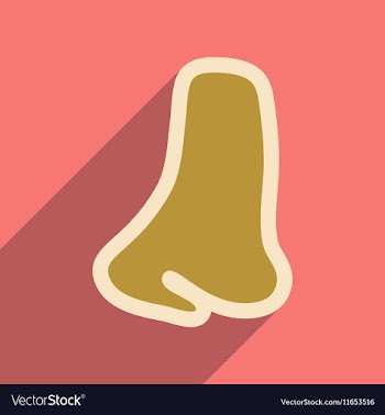 Icon of human nose in flat style vector image