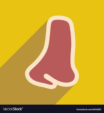 Icon of human nose in flat style vector image