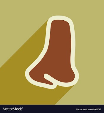 Icon of human nose in flat style vector image