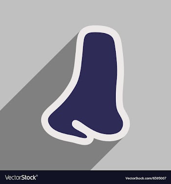 Icon of human nose in flat style vector image