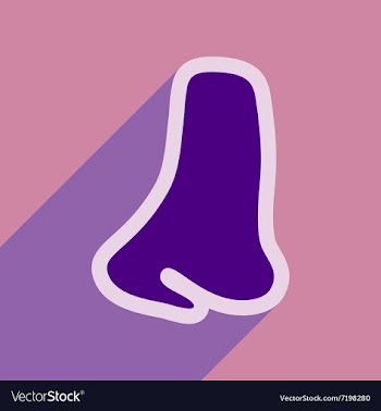Icon of human nose in flat style vector image