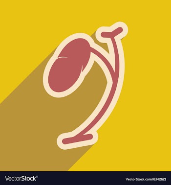 Icon of human spleen in flat style vector image