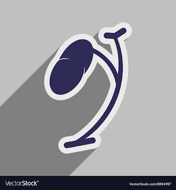 Icon of human spleen in flat style vector image