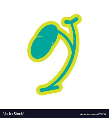 Icon of human spleen in flat style vector image