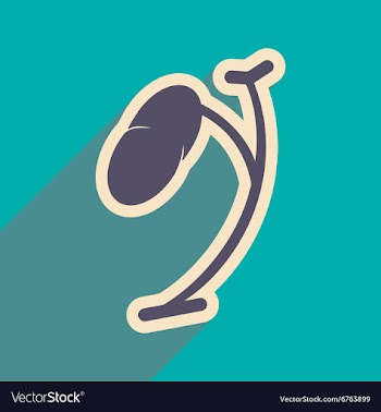 Icon of human spleen in flat style vector image