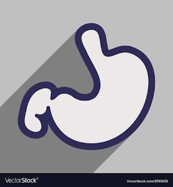 Icon of human stomach in flat style vector image
