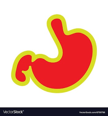 Icon of human stomach in flat style vector image