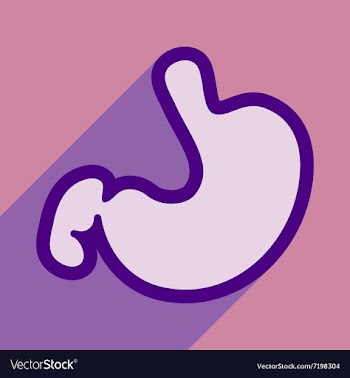 Icon of human stomach in flat style vector image