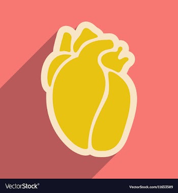 Icon of in human heart flat style vector image