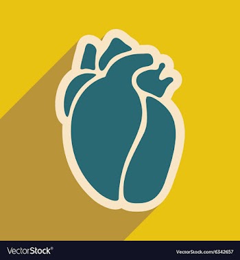 Icon of in human heart flat style vector image