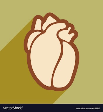 Icon of in human heart flat style vector image