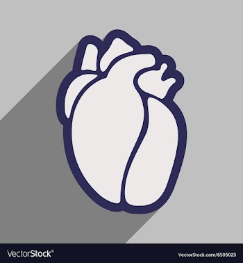 Icon of in human heart flat style vector image