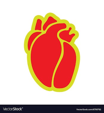 Icon of in human heart flat style vector image