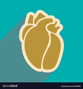 Icon of in human heart flat style vector image