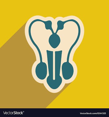 Icon of man penis in flat style vector image