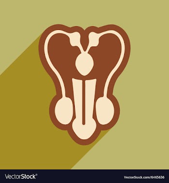 Icon of man penis in flat style vector image