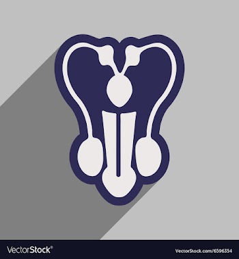 Icon of man penis in flat style vector image