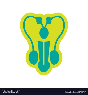 Icon of man penis in flat style vector image