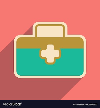 Icon of medical suitcase in flat style vector image